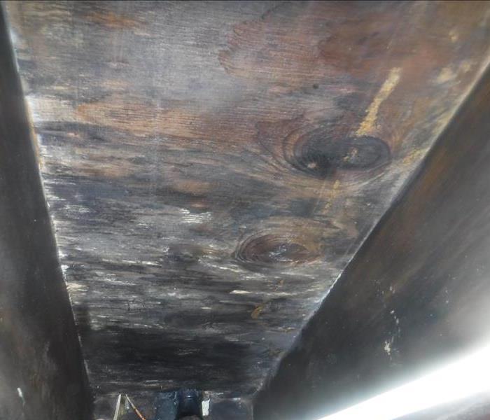 mold on wood in crawl space of a house