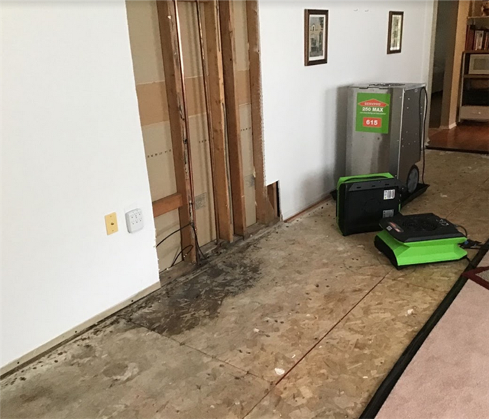 carpet is removed and being dried after water damage in the home