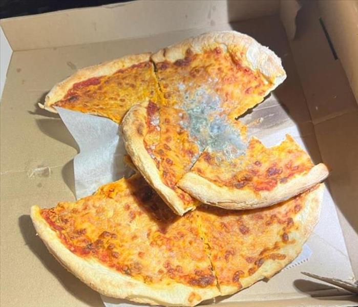 Pizza box containing pizza with mold